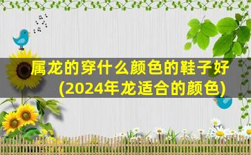 属龙的穿什么颜色的鞋子好(2024年龙适合的颜色)