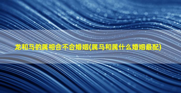 龙和马的属相合不合婚姻