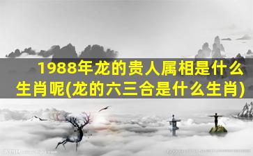 1988年龙的贵人属相是什么生肖呢(龙的六三合是什么生肖)