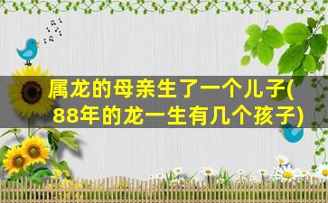 属龙的母亲生了一个儿子(88年的龙一生有几个孩子)