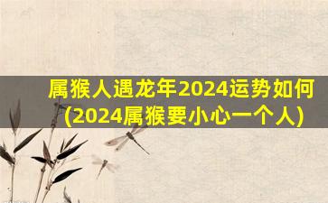 属猴人遇龙年2024运势如