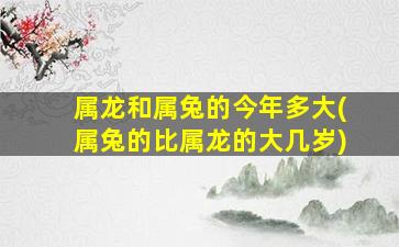 属龙和属兔的今年多大(属兔的比属龙的大几岁)