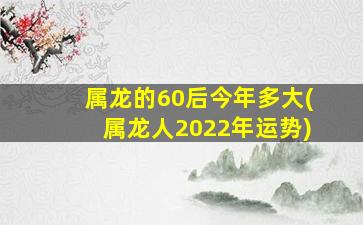 属龙的60后今年多大(属龙人2022年运势)