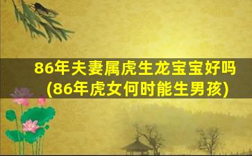 86年夫妻属虎生龙宝宝好吗(86年虎女何时能生男孩)