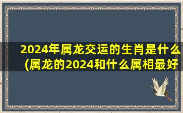 2024年属龙交运的生肖是什么(属龙的2024和什么属相最好)