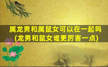 属龙男和属鼠女可以在一起吗(龙男和鼠女谁更厉害一点)