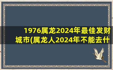 1976属龙2024年最佳发财城