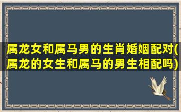 属龙女和属马男的生肖婚姻配对(属龙的女生和属马的男生相配吗)