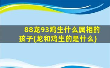 88龙93鸡生什么属相的孩子(龙和鸡生的是什么)