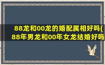 88龙和00龙的婚配属相好