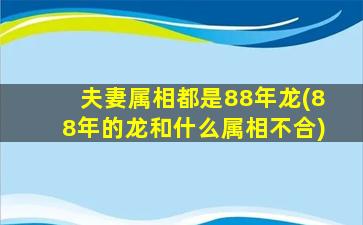 夫妻属相都是88年龙(88年