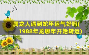 属龙人遇到蛇年运气好吗