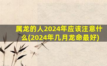 属龙的人2024年应该注意什么(2024年几月龙命最好)