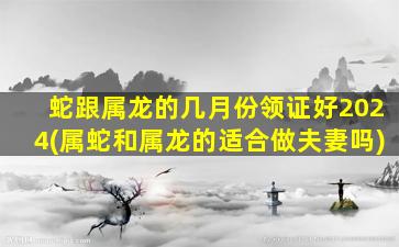 蛇跟属龙的几月份领证好2024(属蛇和属龙的适合做夫妻吗)