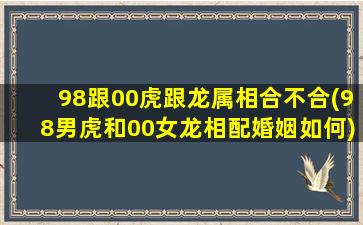 98跟00虎跟龙属相合不合