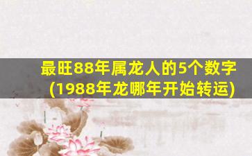 最旺88年属龙人的5个数字