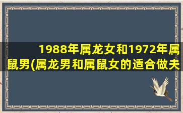 1988年属龙女和1972年属鼠男(属龙男和属鼠女的适合做夫妻吗)