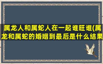 属龙人和属蛇人在一起谁旺谁(属龙和属蛇的婚姻到最后是什么结果)