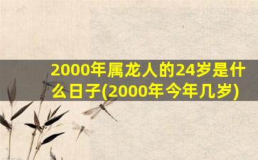 2000年属龙人的24岁是什么