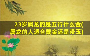 23岁属龙的是五行什么金(属龙的人适合戴金还是带玉)