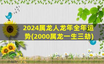 2024属龙人龙年全年运势(2000属龙一生三劫)