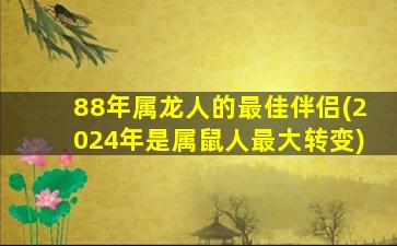 88年属龙人的最佳伴侣(2024年是属鼠人最大转变)