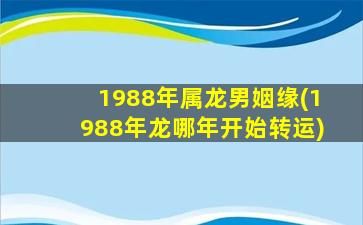 1988年属龙男姻缘(1988年龙