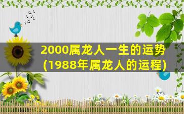 2000属龙人一生的运势(