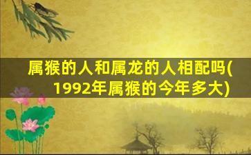 属猴的人和属龙的人相配吗(1992年属猴的今年多大)