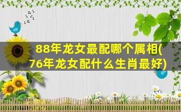 88年龙女最配哪个属相(76年龙女配什么生肖最好)