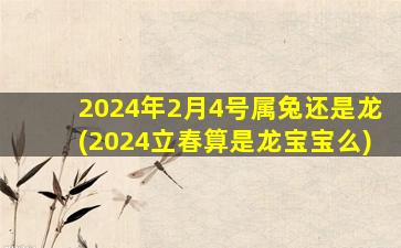 2024年2月4号属兔还是龙(2024立春算是龙宝宝么)