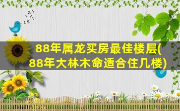 88年属龙买房最佳楼层