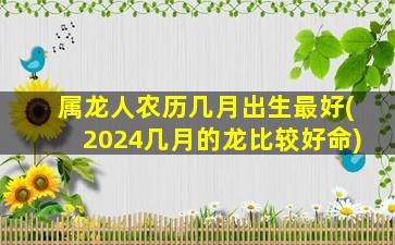 属龙人农历几月出生最好(2024几月的龙比较好命)