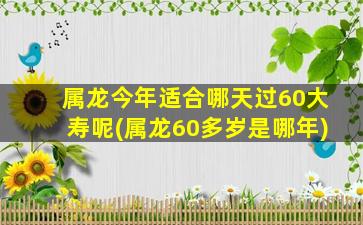 属龙今年适合哪天过60大