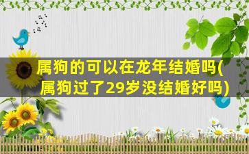 属狗的可以在龙年结婚吗(属狗过了29岁没结婚好吗)