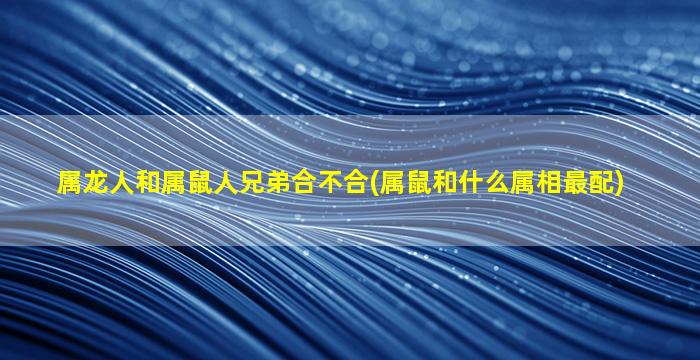 属龙人和属鼠人兄弟合不合(属鼠和什么属相最配)