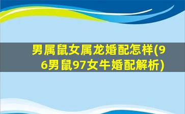 男属鼠女属龙婚配怎样(96男鼠97女牛婚配解析)