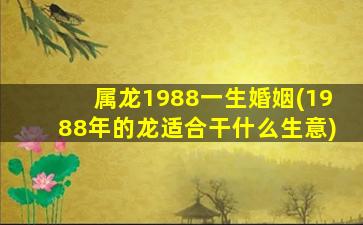 属龙1988一生婚姻(1988年的龙适合干什么生意)