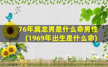 76年属龙男是什么命男性(1969年出生是什么命)